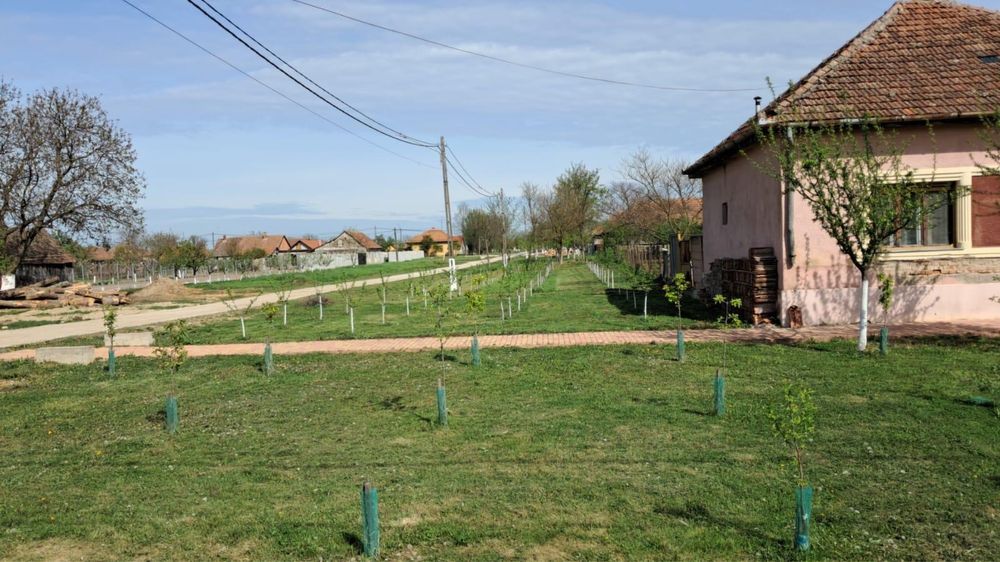 Casa Oras Gataia IN RATE  aproape de centru