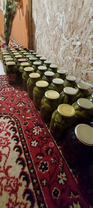 Продам вкусные огурцы