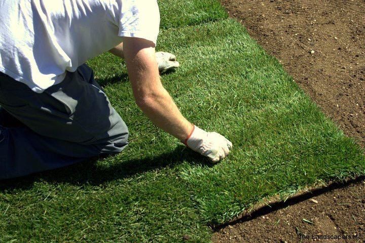 Gazon   Rulou   Sisteme  de  irigatii