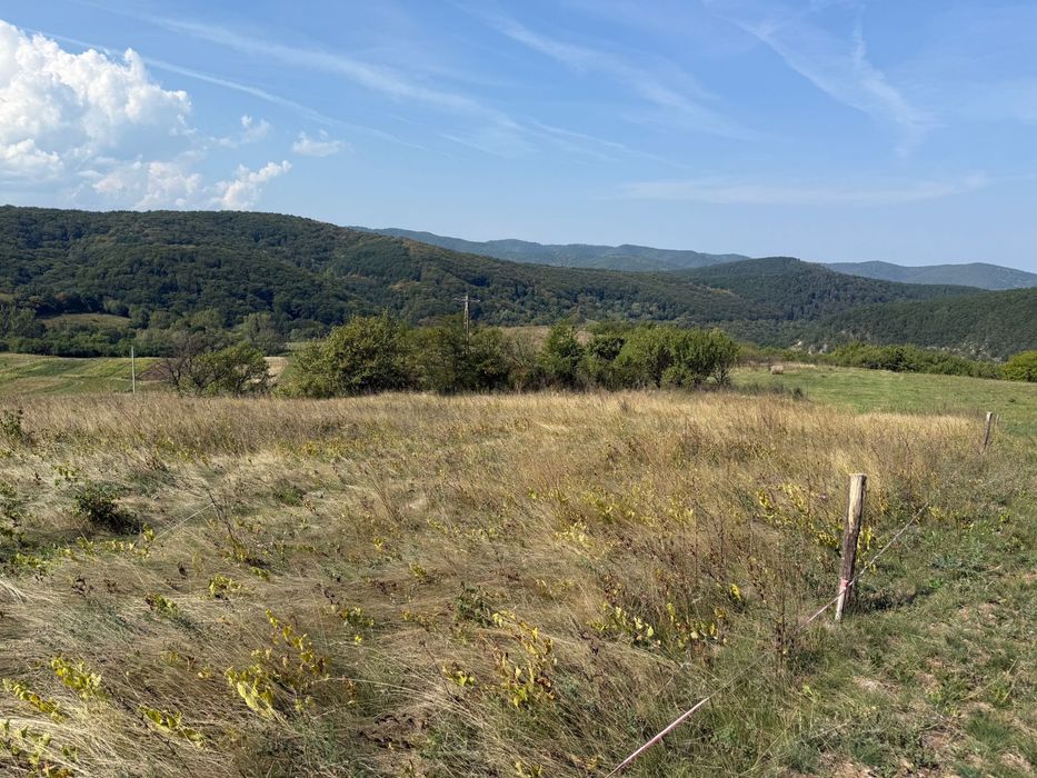 Vand teren intravilan in satul Cozia