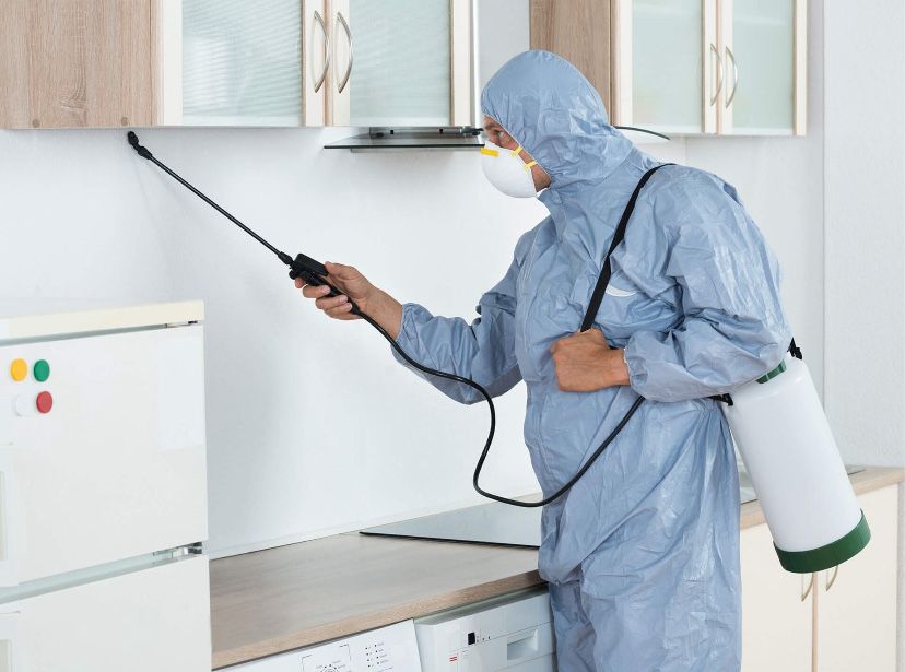 Дезинфекция уничтожение клопов, тараканов, блох, мышей, вирусов
