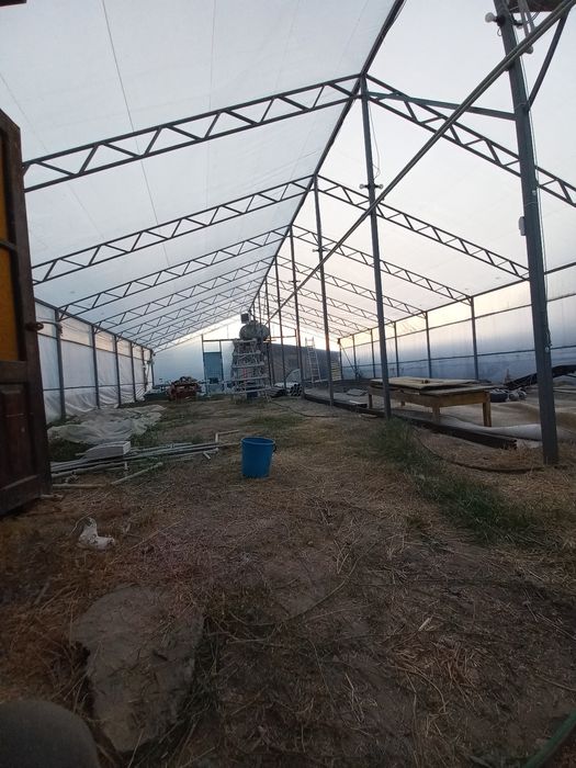 Теплица для выгонки тюльпана
