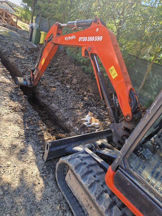 excavator cu deservent