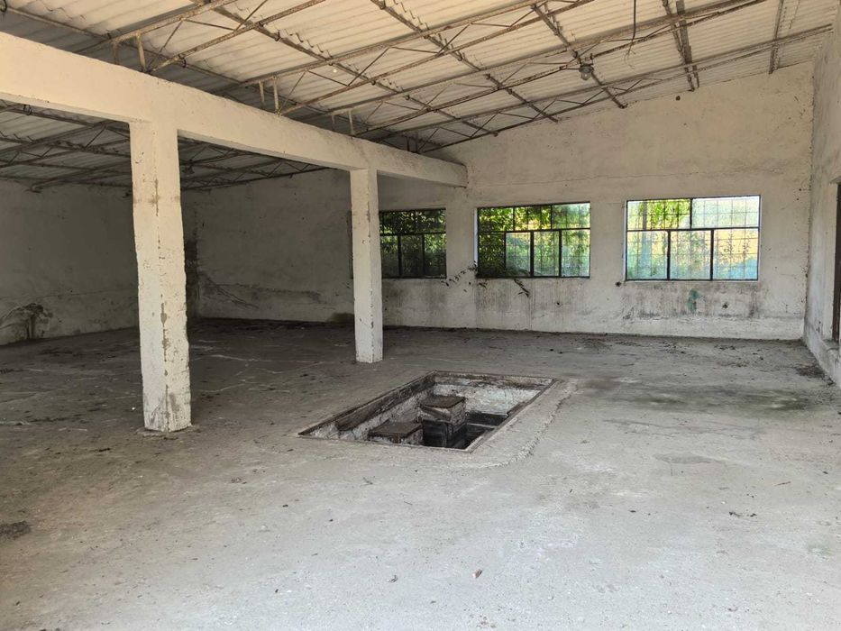 Vand\ Inchiriez hale, 2000 mp cu CF intravilan