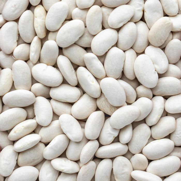 Fasole productie 2025