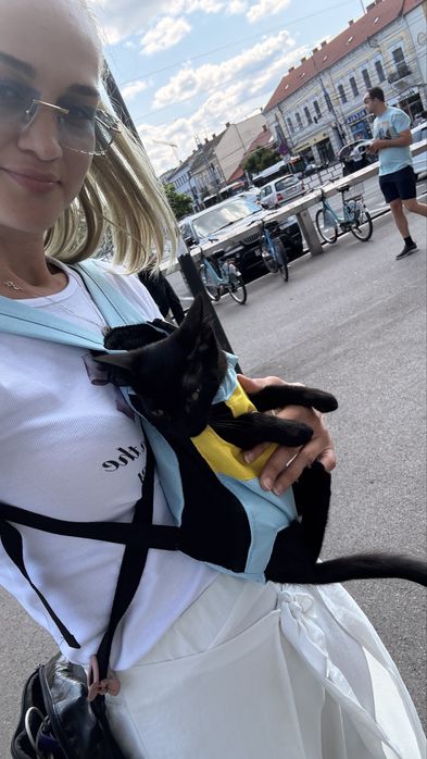 Marsupiu, ham transport  pentru pisica / catei talie foarte mica