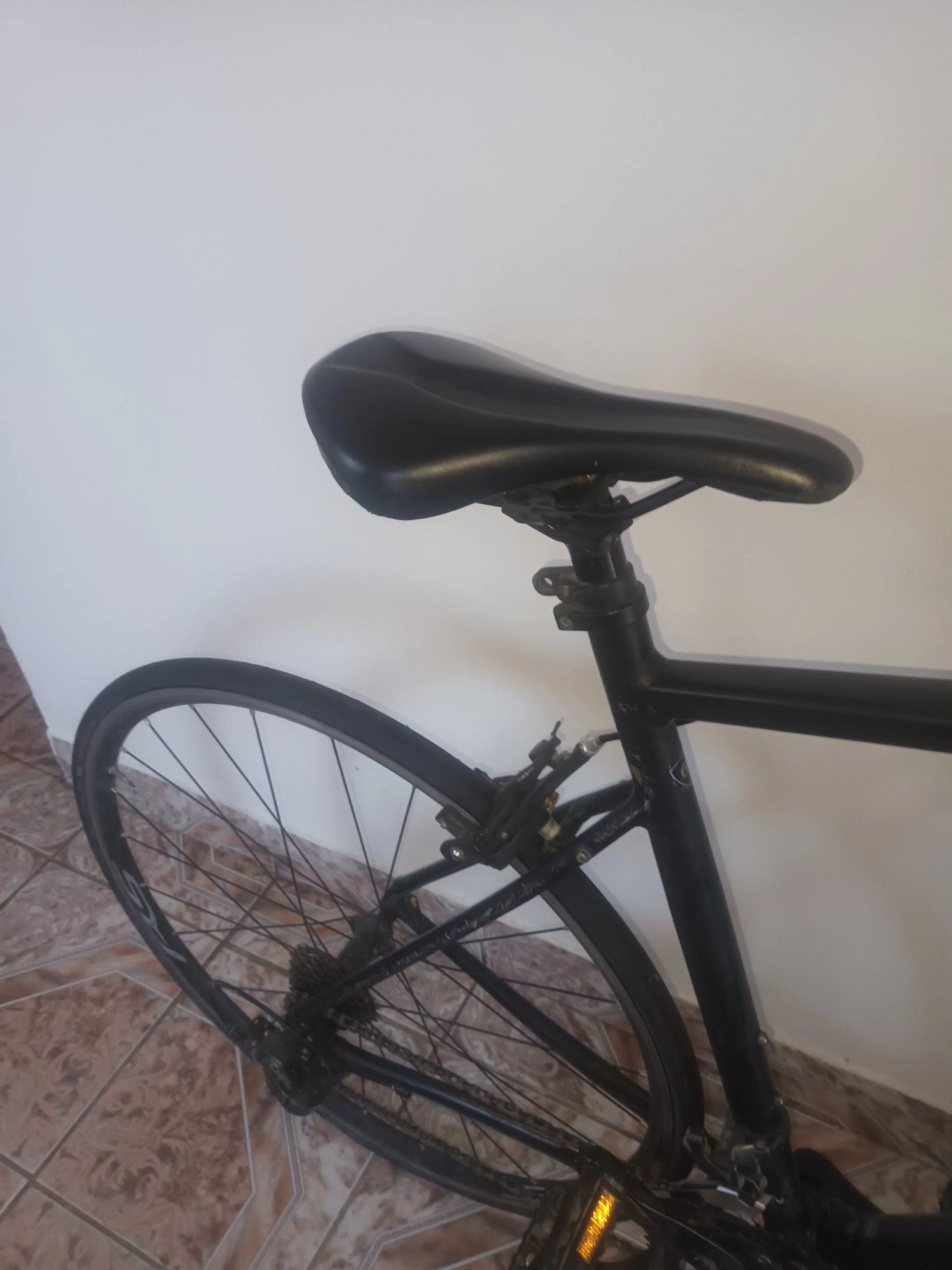 Bicicleta Profesionala