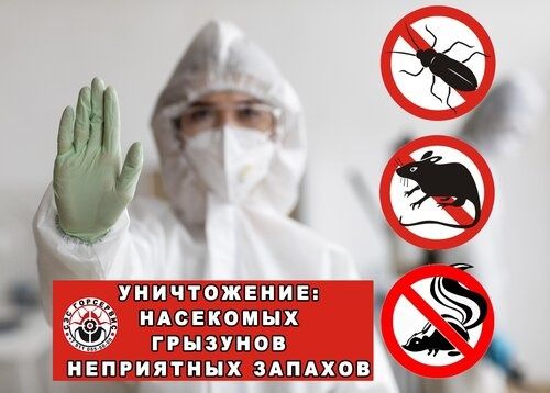 Dizinfeksiya xizmati sifatli va toza bajariladi