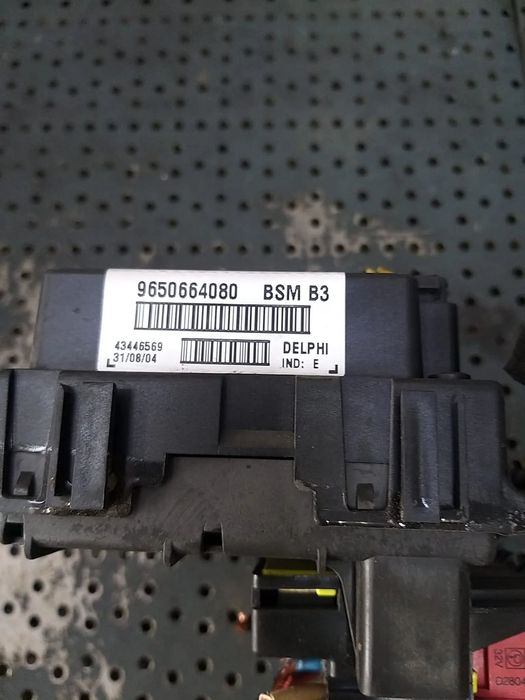 Panou sigurante bsm b3 peugeot 307 9650664080