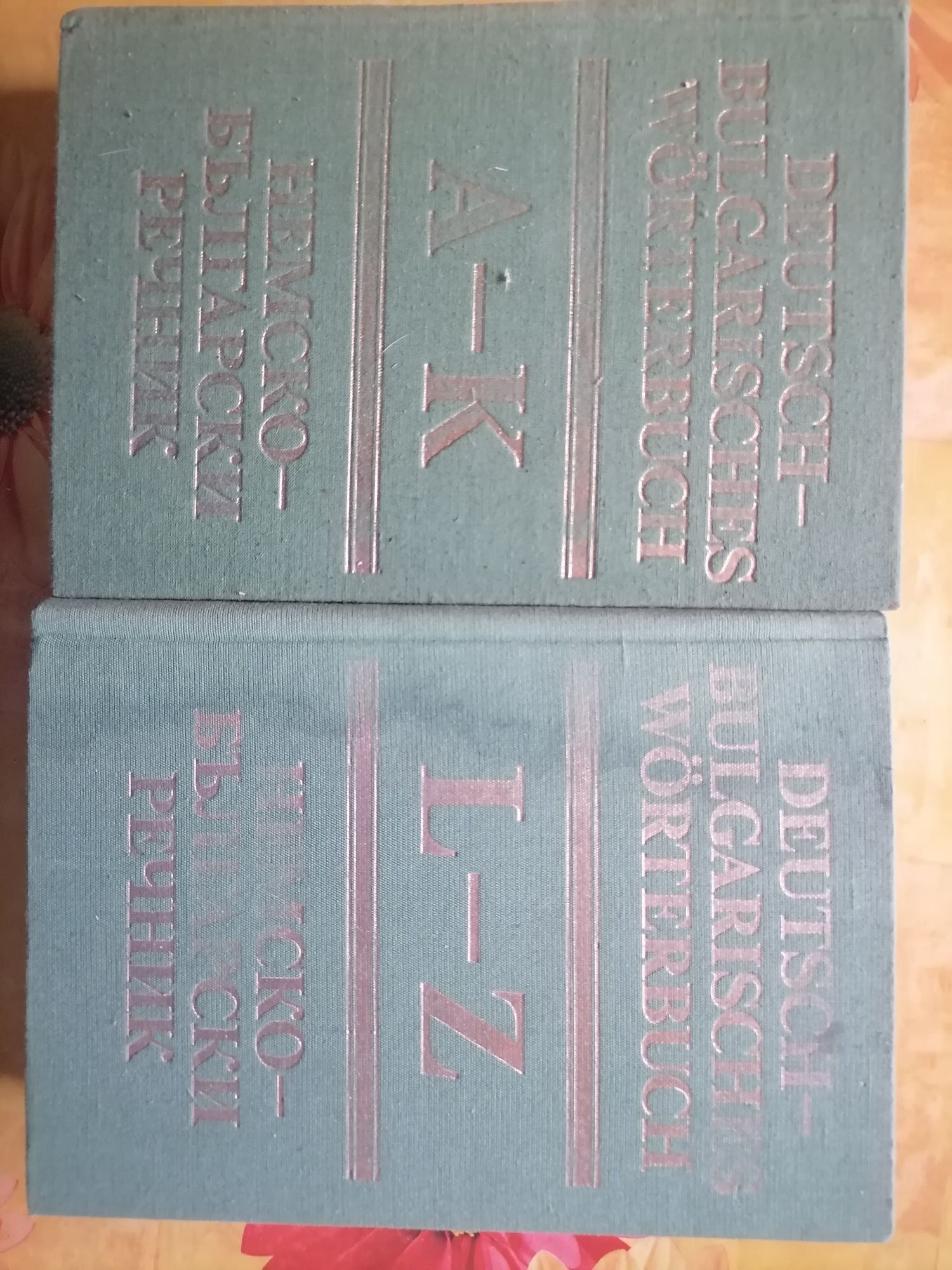 Речници в два тома
