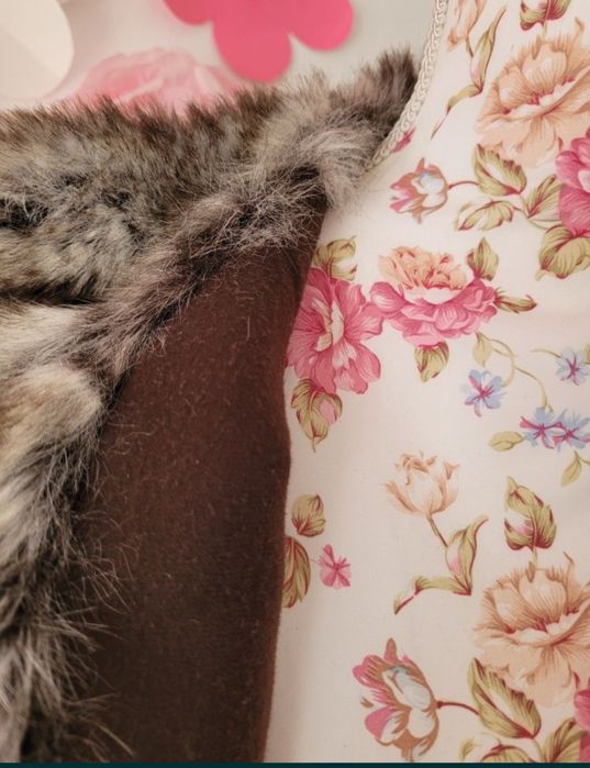 Vesta blanita, Zara S