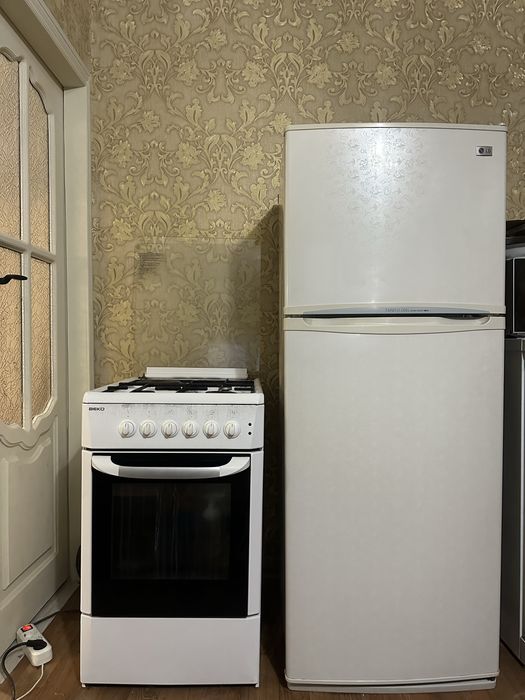 Холодильник и газ.плита