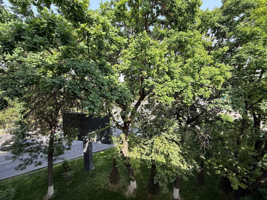 Квартира Первушка 3/4/4  81 кв.м