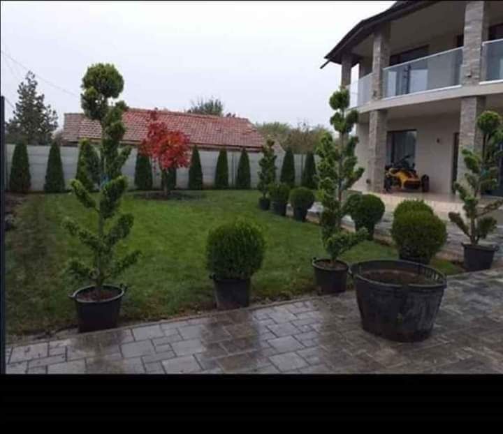 PIATRĂ naturală de munte și plante ornamentale