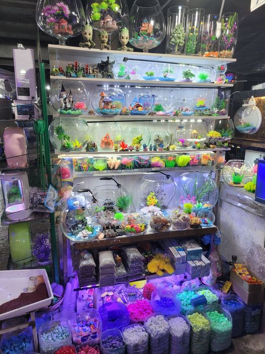 Круглые Аквариумы