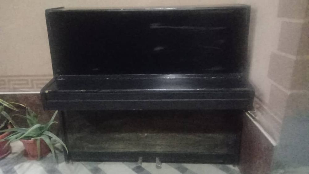 Pionino eski modrlel