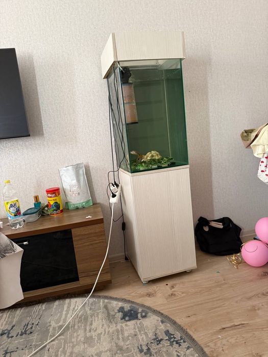 Akvarium kampilekt sotiladi