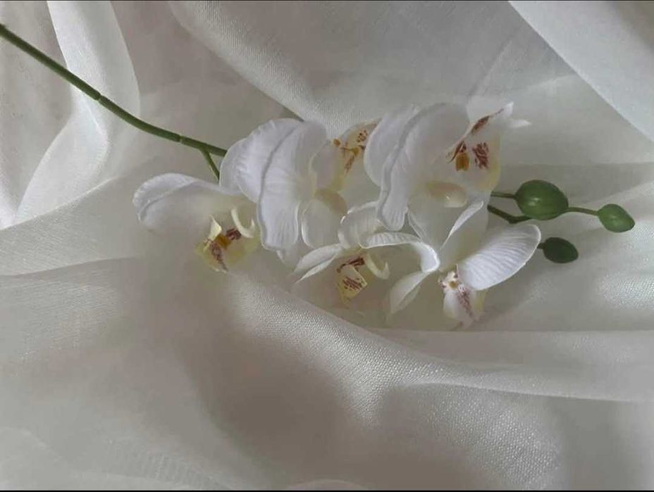 Готови пердета .