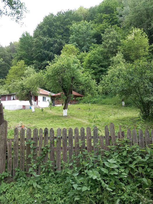 Vand casa la munte