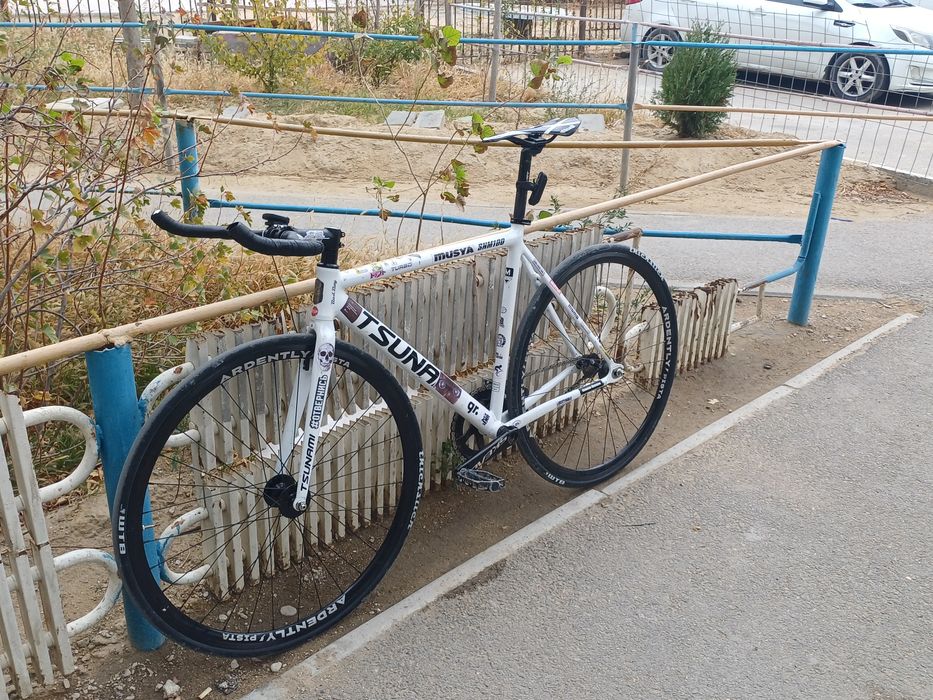 Tsunami snm 100 fixed