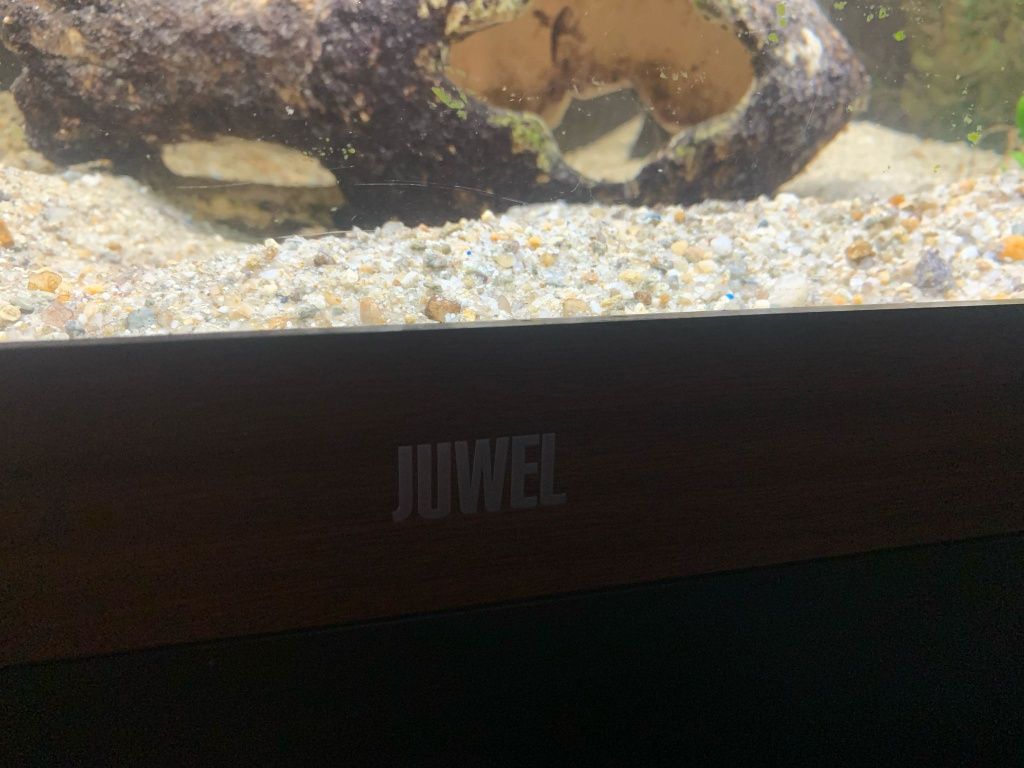 Acvariu Jwel Rio 450