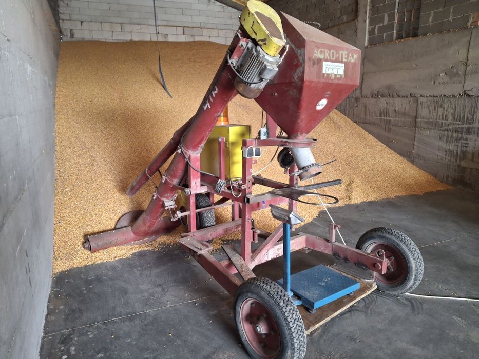 Snec insacuit cereale