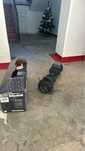 vand hoverboard off road