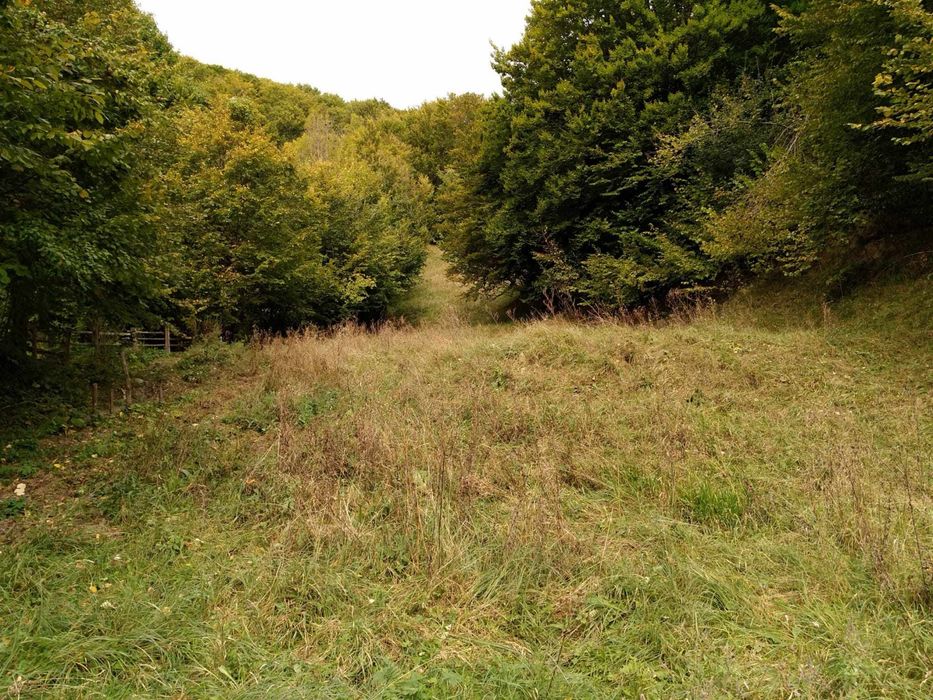 Teren de vanzare Slanic Moldova