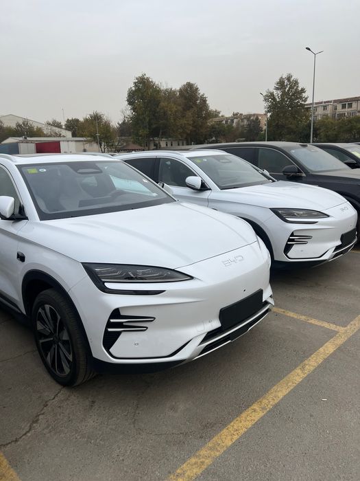 Byd Chempion 25 restalin smart