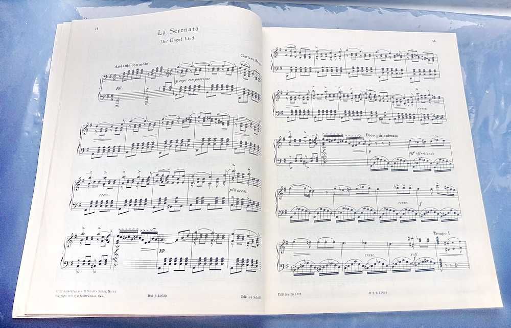 E505-Album Pian Partituri Muzicale -Cartea sunetului clopotei.