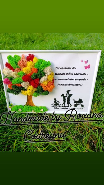 Tablouri decorate cu licheni premium