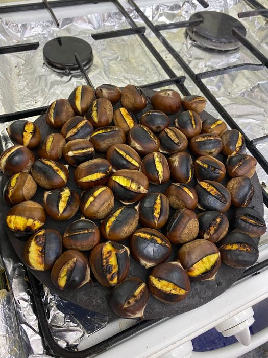 Vand castane comestibile din soiuri alese