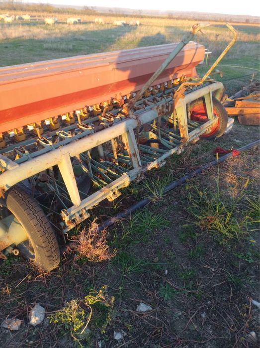 Vand semanatoare grau