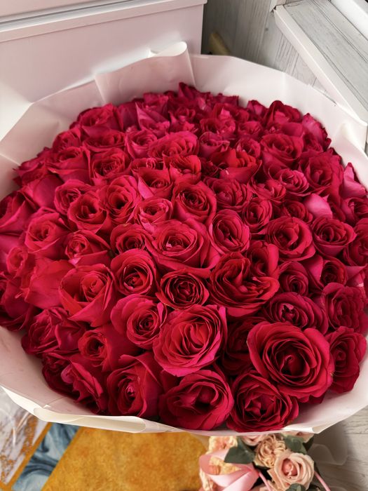 101 роза, свежие красивые нежные розы