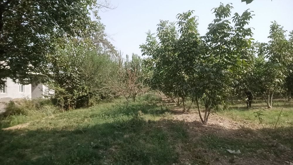 Uchaska sotiladi