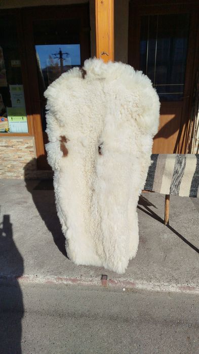 Cojoace,Bitusi, Șube,Sariche Ciobănești