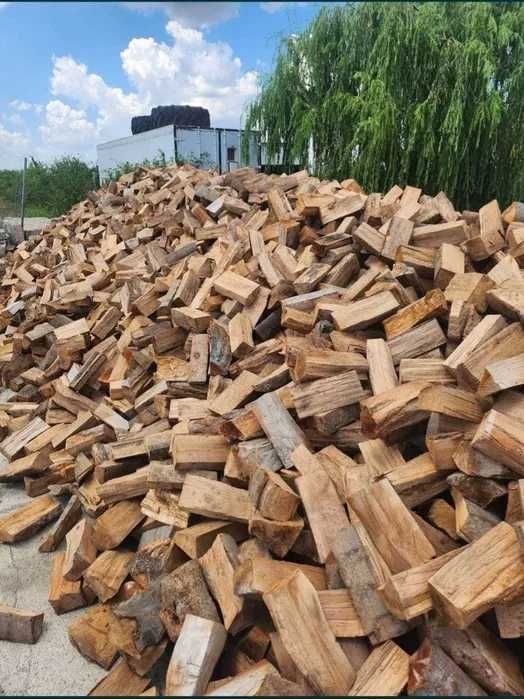 Oferte fierbinți pentru lemne de foc – la tonă/palet, acum!