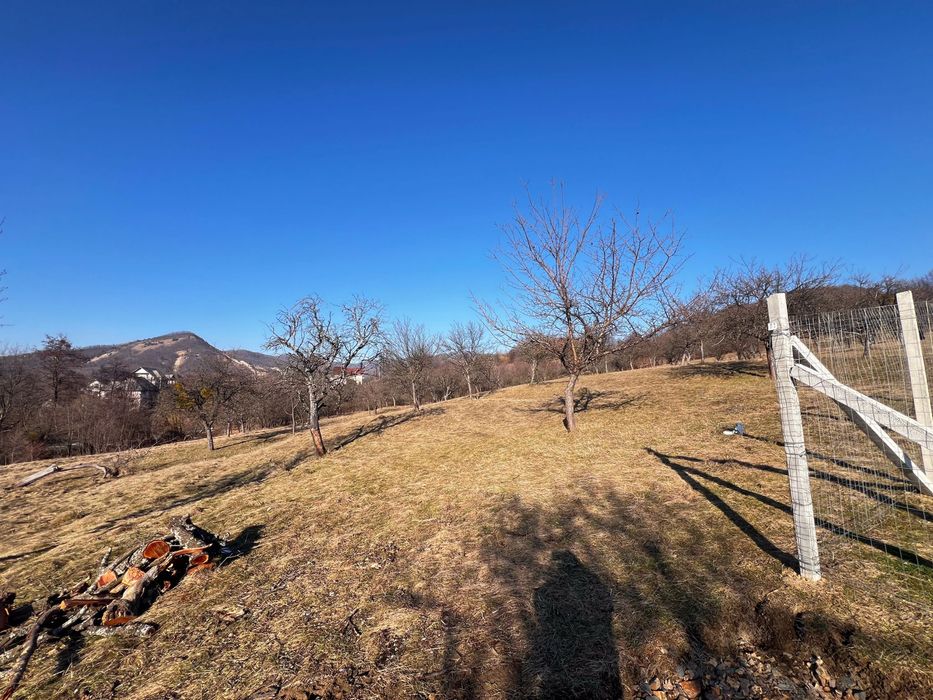 Vand doua terenuri intravilan, construibil in Loc. Baia Sprie