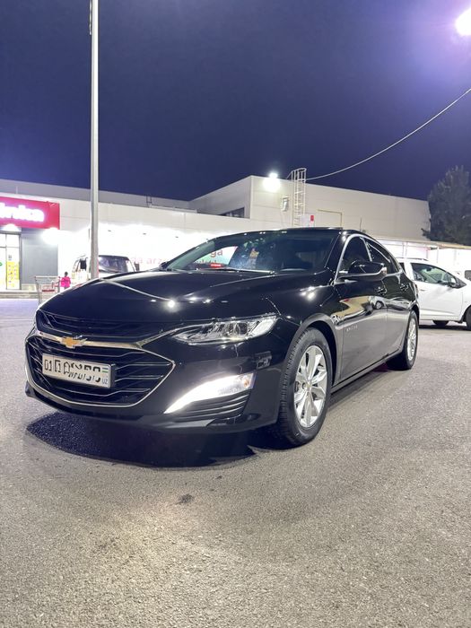 Malibu 2021 premier full