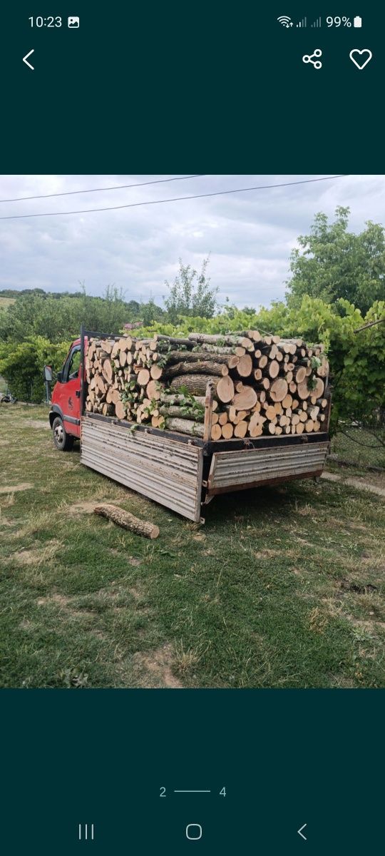 Lemne pentru foc iarna