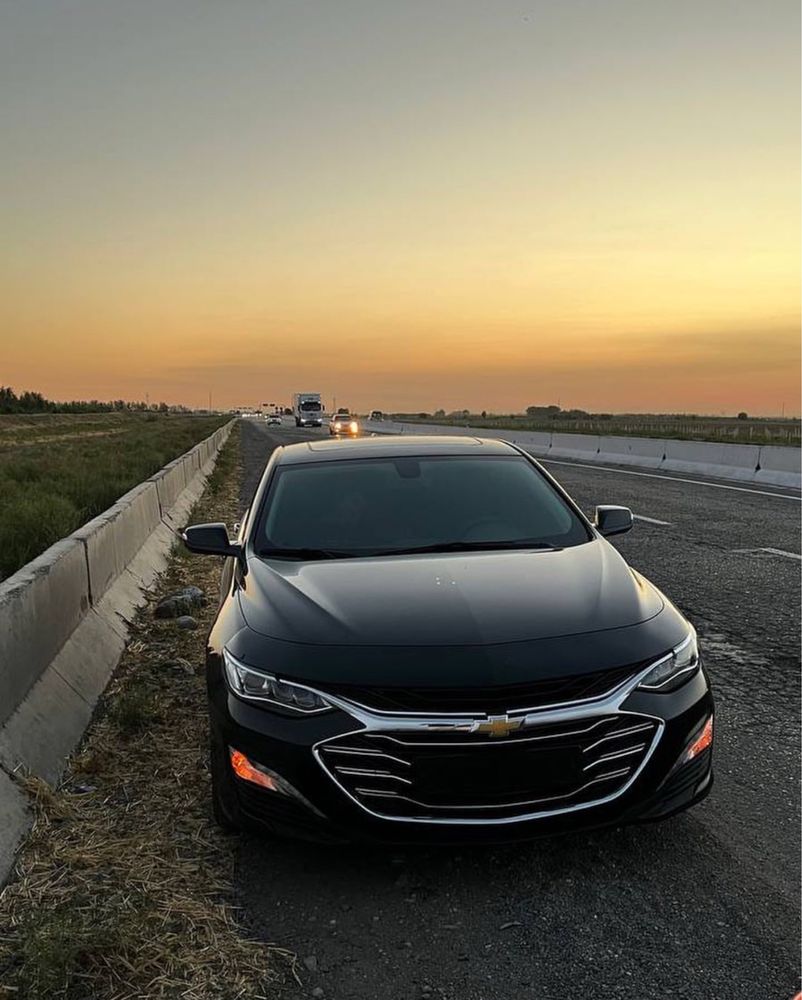 Malibu 2 primer 2021
