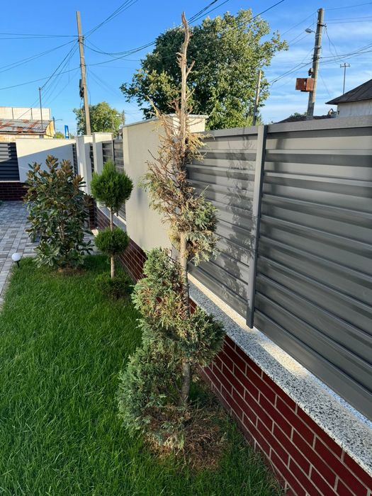 Amanejez gradini cu gazon rulou si plante ornamentale