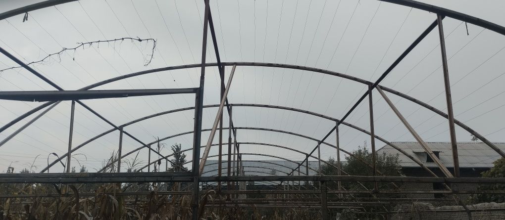 Сфатли сеткасиям берилади