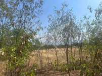 Парцел в с. Златитрап 67454