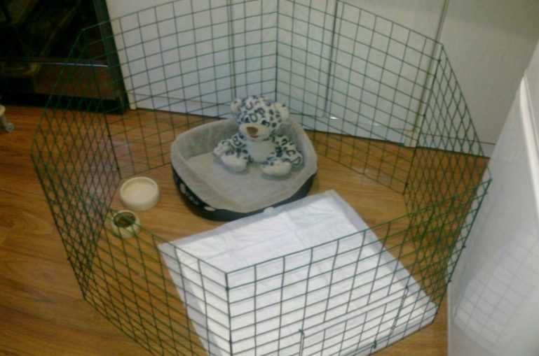 Кошарки,клетки за кучета,котета, зайчета( кошара,клетка,ограждение)