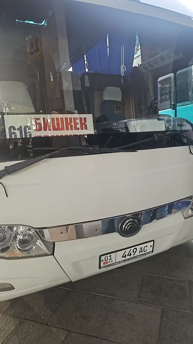 Почта карго грузоперевозки