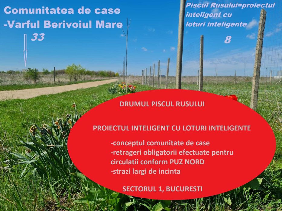 Terenin Cartierul Padurea Baneasa, Piscul Mare-Rusului-Berivoiul Mare