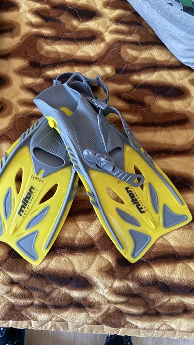 Labe inot copii si palmare