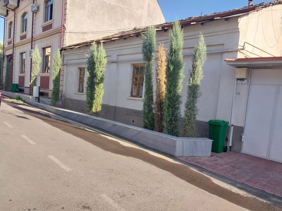 Мирзо Улугбек тумани, Н. МосковскаяОккургон махалла, Ойдин кучасида уй