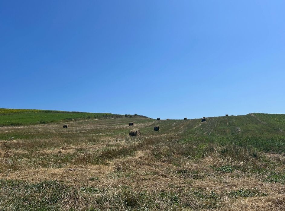 Baloți fân de vanzare